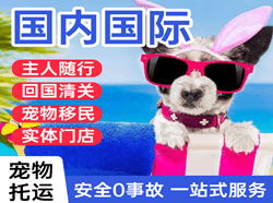 黄山屯溪机场快运国际宠物托运 【国